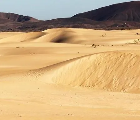 Beautiful Garden Flat Nearly Refurbished Free Wifi Appartement *