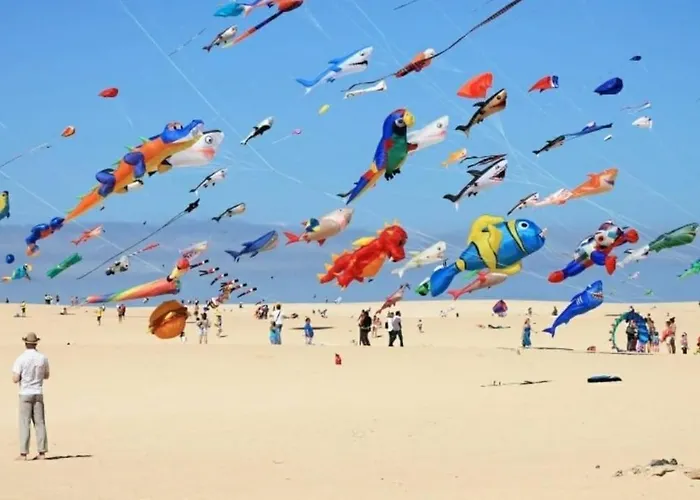 Beautiful Garden Flat Nearly Refurbished Free Wifi Appartement Corralejo