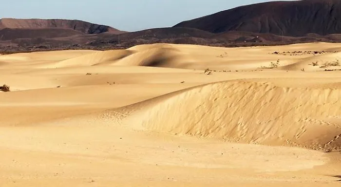 Beautiful Garden Flat Nearly Refurbished Free Wifi Appartement *